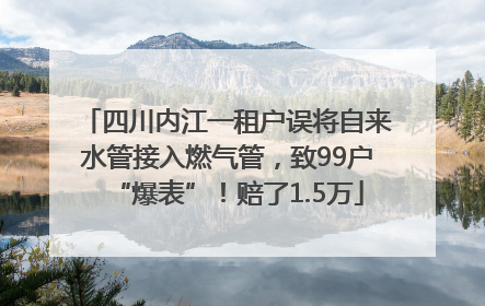 四川内江一租户误将自来水管接入燃气管，致99户“爆表”！赔了1.5万